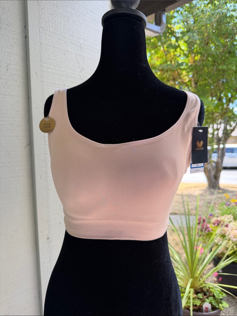 Wacoal wireless bra